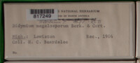 Image Associated With the Occurence